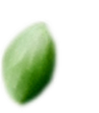 L'DELICACIES